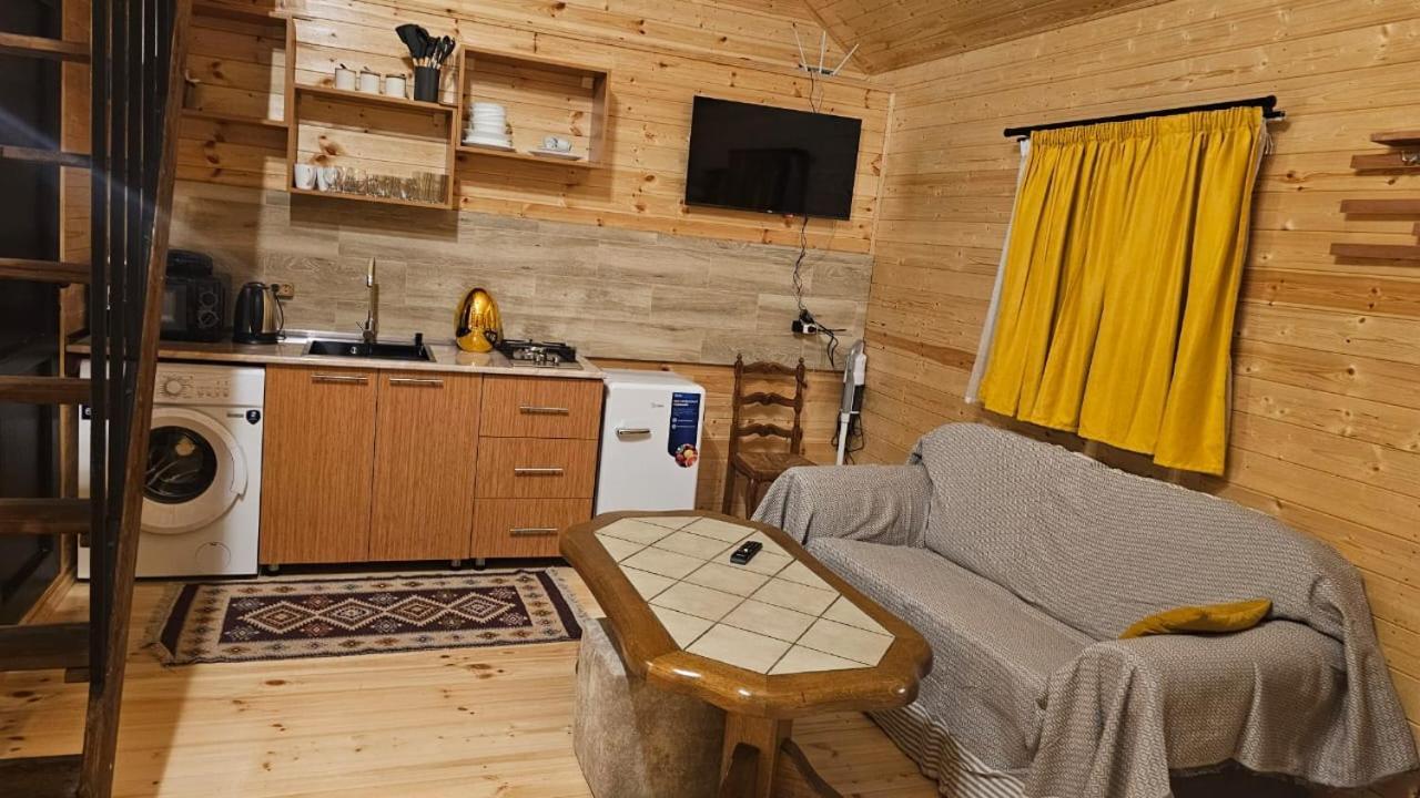 Mood Villa Kazbegi 外观 照片